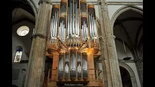 Nicolaus  Bruhns  (1665-1697)  Preludium in E minor, mi menor played by Liudmila Matsyura