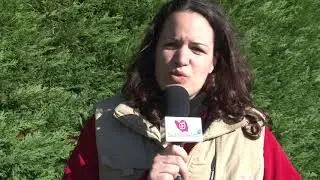 T&eacute;l&eacute;vision Sud Vend&eacute;e Info Journ&eacute;es du patrimoine vivant sainte gemme la plaine P&eacute;tr&eacute;