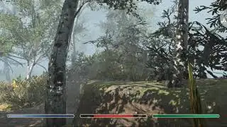 Elder Scrolls Blades - Dragon Glitch