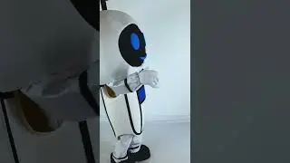 Robot Mascot Costume