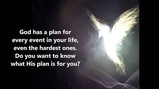 Life in the Spirit Seminar Virtual invite