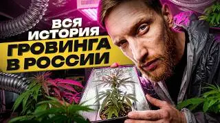 ⚠️ The History of GROWING in Russia: From HPS to LED, Quantum Boards, and Smart Homes. Who’s Grow...