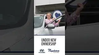 Get 0% APR Financing on Select Hyundai Favorites #hyundai #palatine