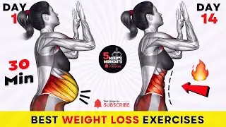 Quick Fat Burn with 30 Min WeightLoss Workout 🔥 Perfect for Beginners! 🔥Get Smaller Waist in 14 Days