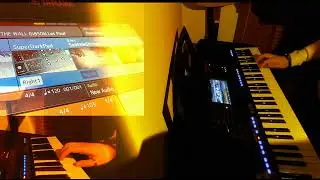 ANOTHER BRICK IN THE WALL - PINK FLOYD - FULL GUITAR SOLO OUTRO (COVER BY STOYAN INSTRUMENTAL)