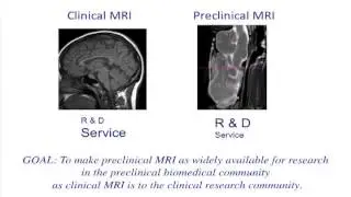 Broad Access to Preclinical MRI  for the Biomedical Community - Deborah Burstein