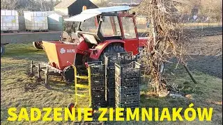 Uprawa Pod Ziemniaki Ursus C-330 W Akcji II Ursus C-360 na wczasach