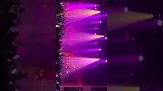 TIF - AMNESIA LIVE