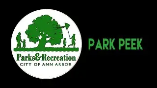 Park Peek - Allmendinger Park