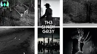 Th3 Sh4dy Gr3y full ost
