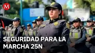 Seguridad anuncia operativo de protecci&oacute;n y contenci&oacute;n para la marcha del 25N