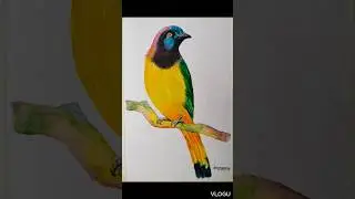 Beautiful Bird Painting #watercolor #artist #art #artwork #tutorial #shorts🐦🐤