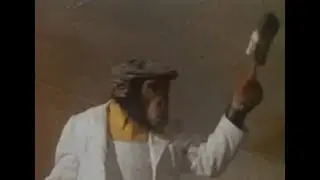 1976 PG Tips Chimps W E Bodgit Inferior Decorators Advert