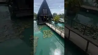 Amazing blue water #naturalovers