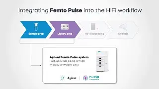 Ensure high-quality HiFi sequencing with the Agilent Femto Pulse system