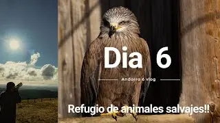 Refugio en los PIRINEOS CATALANES y d&iacute;a de REGRESO a Madrid 🐾🚘 | Dia 6 Andorra en Invierno ❄️🏔️