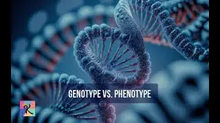 Genotype vs. Phenotype: Understanding the Blueprint andExpression of Traits