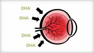 HealthKey.tv | Diabetes Care | DHA/EPA and Eyecare