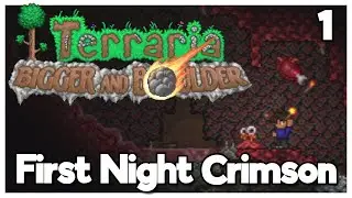 I played Terraria's LAST Update EVER!
