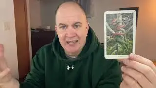 The Spirit's Path Balance Wildwood: Inner Harmony & Spiritual Alignment