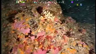 Rock wall with mediaster, rainbow stars and aggragated nipple sponge