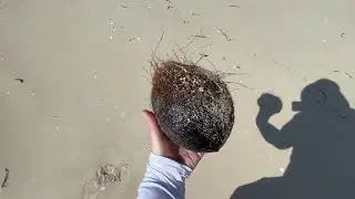 КУБА ОЛЬГИН🇨🇺ЗАВТРАК ОДНА НА ПЛЯЖЕ КРАБ🦀🌴CUBA HOLGUIN GRAND MEMORIES 5* SANCTUARY