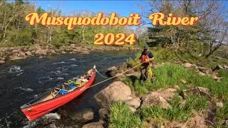 Musquodoboit River May 2024