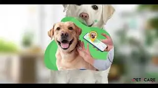 BioTech Pet's Process
