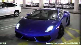Monterey Blue Lamborghini LP 560-4 Start-up !!