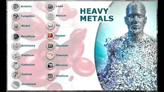 Wellness IV Infusion Therapy Offers Total Toxic Burden Lab Testing & Heavy Metal Chelation Therapy!