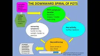 POTS Support Group Live Webinar Part 1 with Dr. Dara Lee Lewis and Dr. Alyson Kelley-Hedgepeth