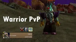 Warrior swinging sword in Silithus & Winterspring PvP | Arimash | SoM Classic/Vanilla WoW