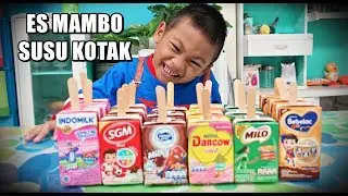 Cara Mudah Buat ES STICK SUSU KOTAK
