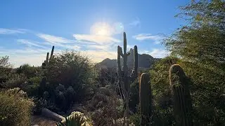 Scottsdale & Saguaro National Park 2025