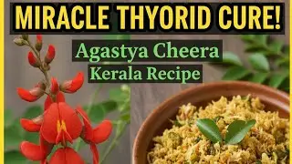 ദിവസവും കഴിച്ചാൽ തൈറോയ്ഡ് പമ്പ കടക്കും! അഗസ്ത്യ ചീര ഉണ്ടാക്കുന്ന രഹസ്യ രീതി | Agathi Cheera Cooking 