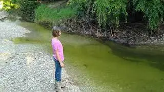 June 25, 2020 Creek exploration.