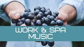 Romantic spa & dinner music Work music. Музыка для романтического ужина и отдыха.