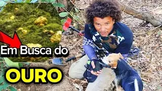 Fomos em busca do ouro na floresta