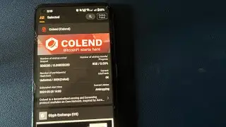 Satoshi new project launch