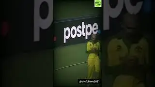 Amazing catch by smith #top10amazing catches