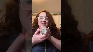 Rattie babies Memorial video 2