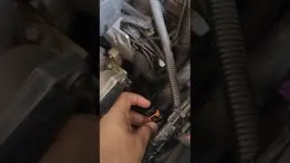 Fiat Doblo 1.8 2004/5 n&atilde;o pega, Bobina de campo com problema