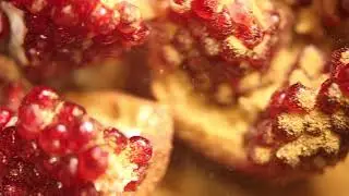 Macro Lens Canon EOS 5D Mark IV Royalty Free HD Stock Video Footage Pomegranate 60fps