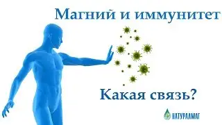 Магний и иммунитет. В чем связь?