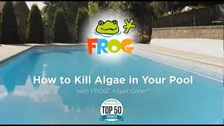 Pool Solutions: FROG&reg; Algae Gone&trade;