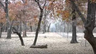 Why use Deer Guardian Misting Systems?