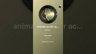 animals cry for acceptance, go vegan. AI Music