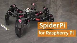 Hiwonder SpiderPi: AI Intelligent Visual Hexapod Robot Powered by Raspberry Pi