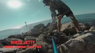 Snook Fishing North Jetty fishing Report