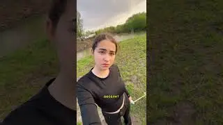 ОБЗОР НА КОРГИ 😎😎 #tiktok #тиктоктренды #тикток #корги
